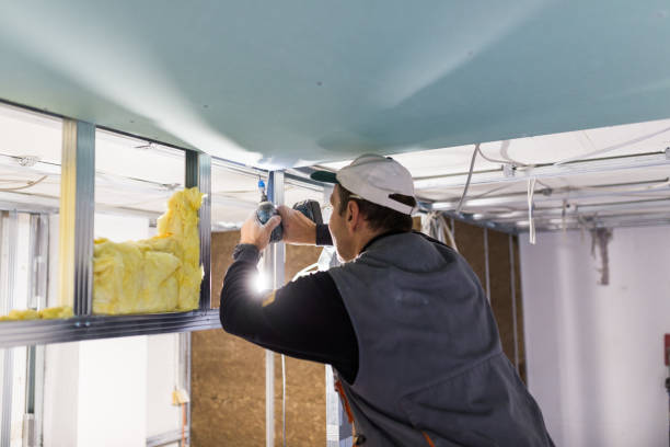 Best Insulation Repair Services  in Scotia, NY