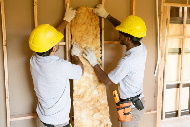 Professional Insulation Contractor in Scotia, NY